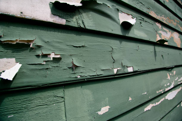 Same-Day Junk Removal Services in Washington Terrace, UT
